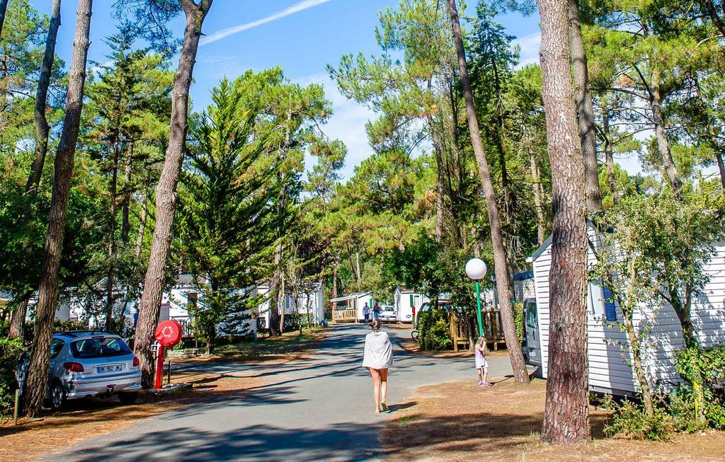 Domaine Residentiel De Plein Air Odalys Les Dunes ลุงวิลล์-ซัวร์-แมร์ ภายนอก รูปภาพ